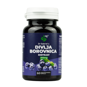 Wild Blueberry Extract 500mg – Anthocyanins | Vision & Brain